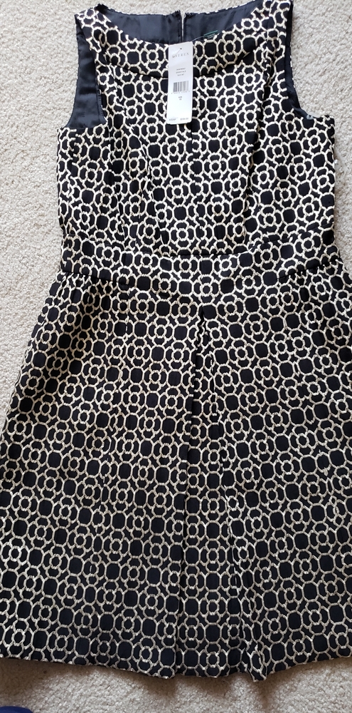 Ralph Lauren Sophisticated Dress